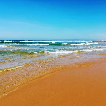 Tripgeo Pinhal Da Aroeira *