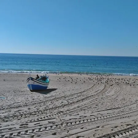 Tripgeo Pinhal Da Aroeira *